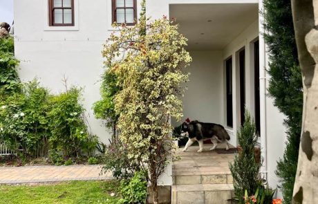 residential painting services