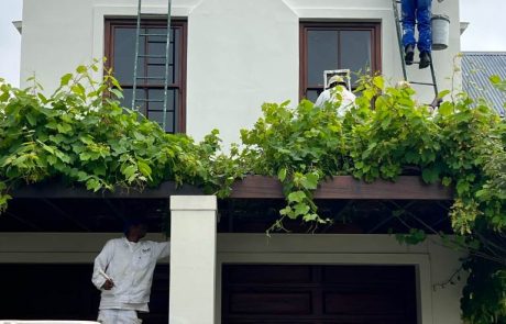 interior and exterior painting