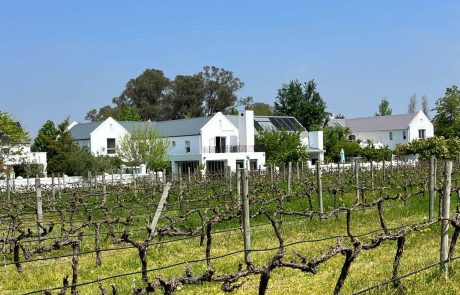 residential painting services