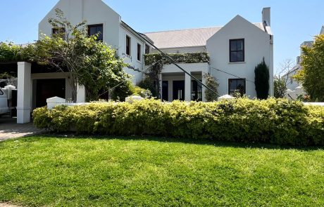 interior and exterior painting